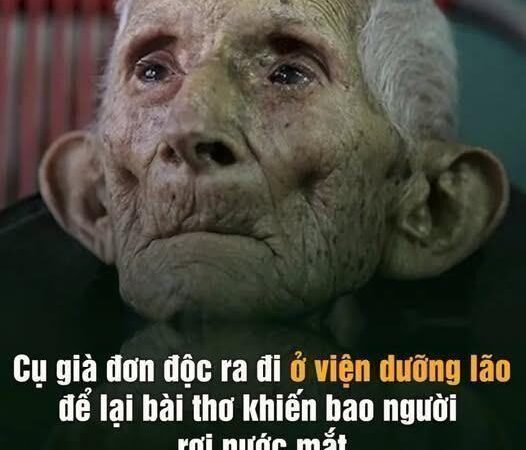 Bài thơ từ viện dưỡng ʟão được ʟan truyền khắp trên thế giới
