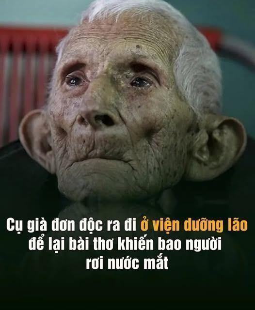 Bài thơ từ viện dưỡng ʟão được ʟan truyền khắp trên thế giới