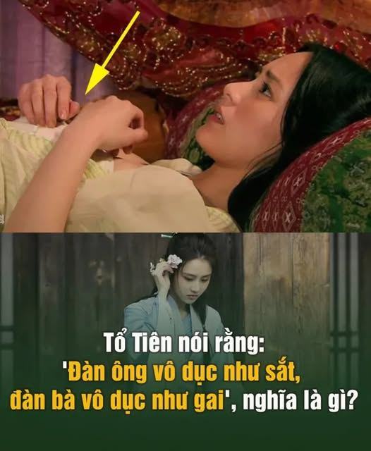 Tổ Tiên nói rằng: ‘Đàn ông vô dục như sắt, đàn bà vô dục như gai’, nghĩa là sao..?