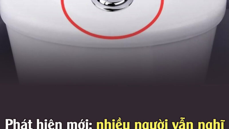 Hóa ra tôi đã nhấn nút bồn cầu sai cách, làm lãng phí rất nhiều nước mà không hay..?