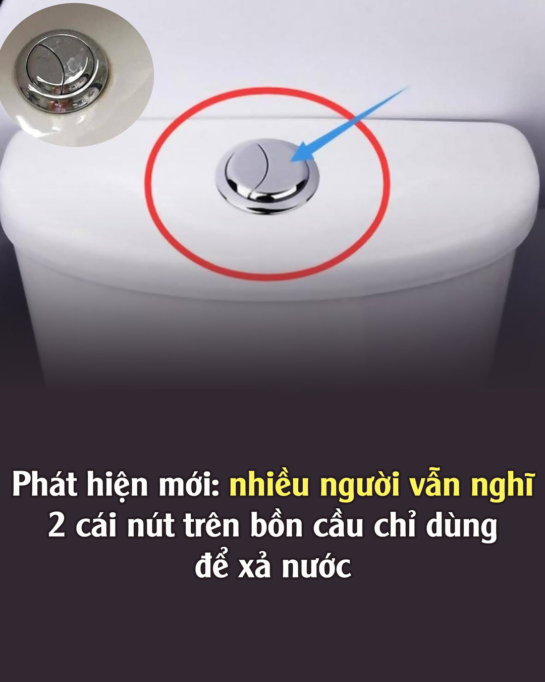 Hóa ra tôi đã nhấn nút bồn cầu sai cách, làm lãng phí rất nhiều nước mà không hay..?