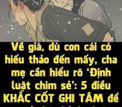 Về già, dù con cái có hiếu thảo đến mấy, cha mẹ cần hiểu rõ ‘Định luật chim sẻ’: 5 điều KHẮC CỐT GHI TÂM để cuối đời thảnh thơI