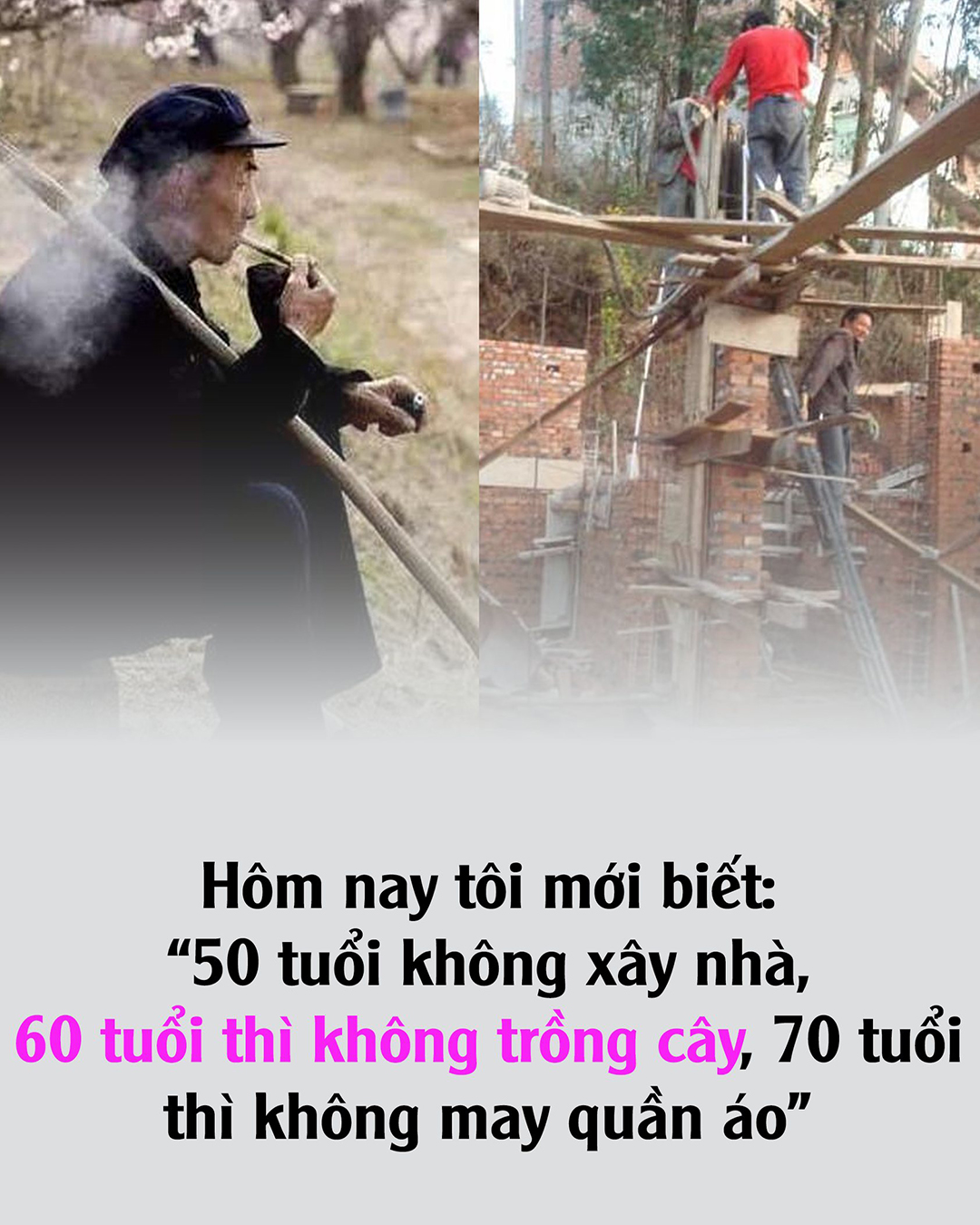 Tổ tiên có câu: “50 tuổi không xây nhà, 60 tuổi thì không trồng cây, và 70 tuổi thì không may quần áo”, nó có nghĩa là gì..?
