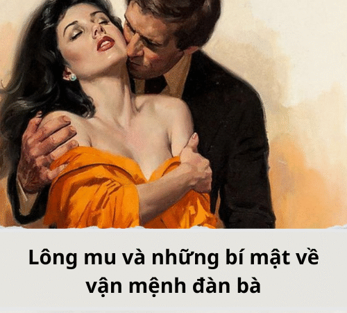 Lông m\u và những bí mật về đàn bà